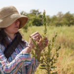 A white woman wearing a bucket hat examines a plant in a field. 