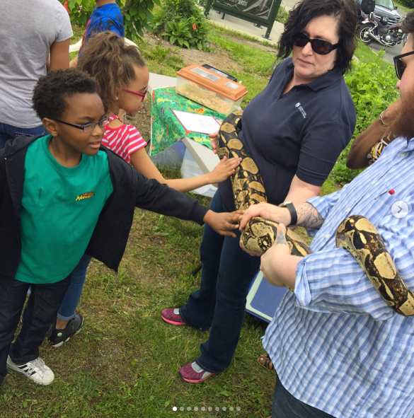 Two workers are holding a long snake as children reach out to touch it.