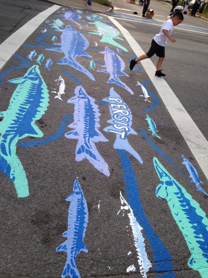 A city crosswalk is painted with the Sanctuary's sturgeon logo, repeated in varying sizes and shades of blue. A small boy wearing a white T-shirt and black shorts runs through the crosswalk. 