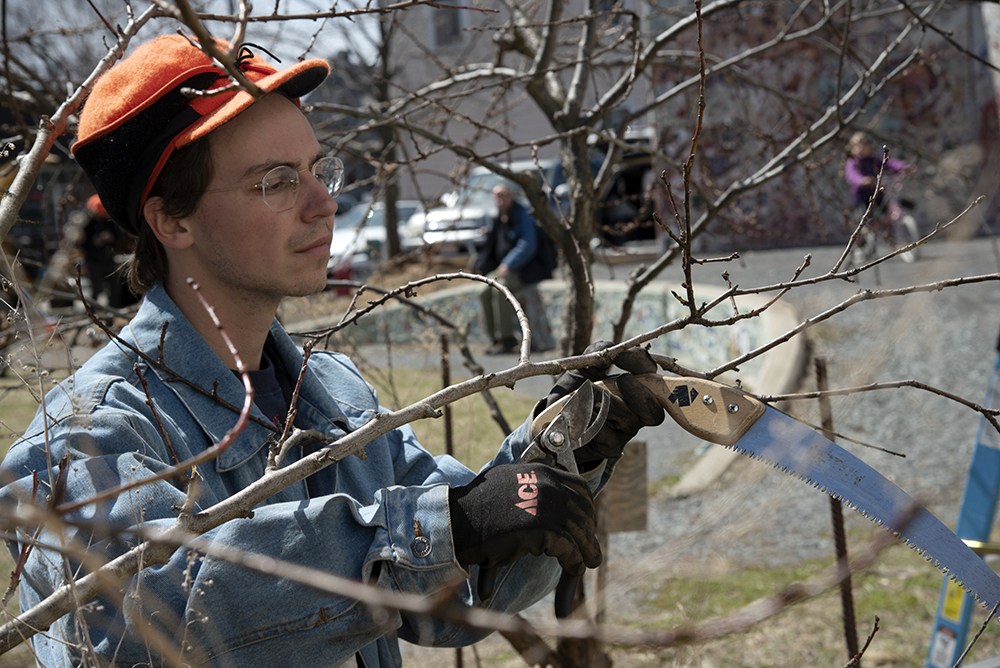 An image of a person holding a saw and doing work on one of the trees at the event, wearing an orange hat and glasses with a denim jacket on.