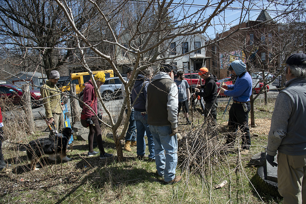 An action shot of a gathering of people ready to work on the tree garden, the leaders explaining the process.