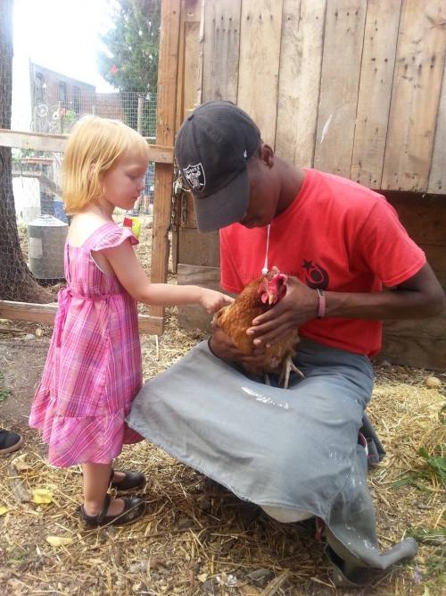 An African American young man, wearing a red t-shirt and black baseball cap, squats down holding a chicken while a white little girl in a pink dress with blond hair pets the chicken.