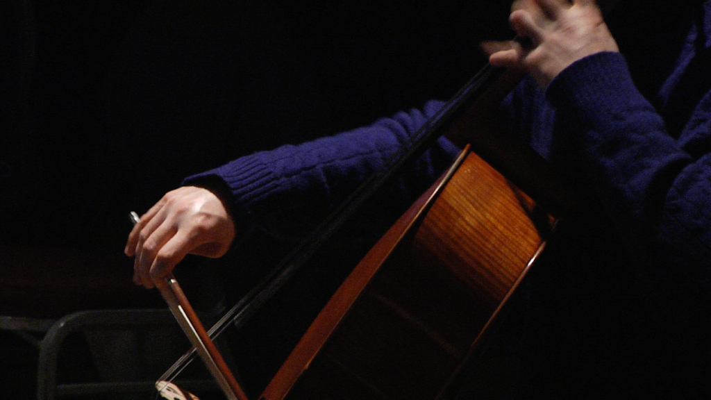 A close-up on the cello player