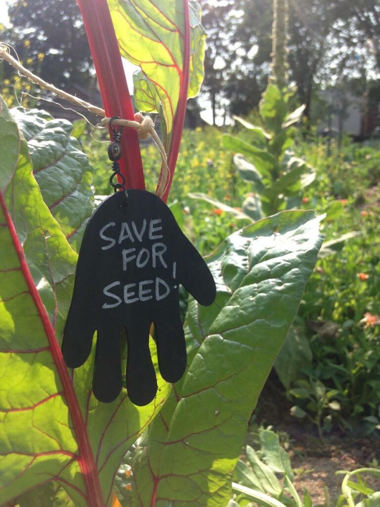 An image of an upside-down cut out of a hand, hanging from a plant with the words "Save for Seed" written on it. The background includes more plants and vegetation from the event.