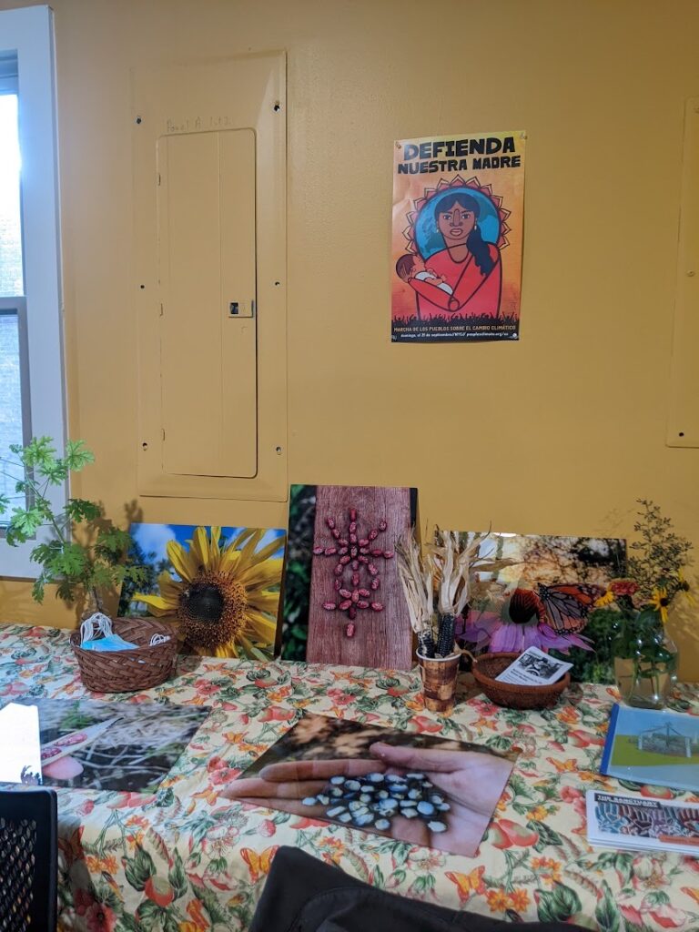 A photo of a yellow wall with a poster hanging above a table arranged with photos and other art works depicting plants and seeds.