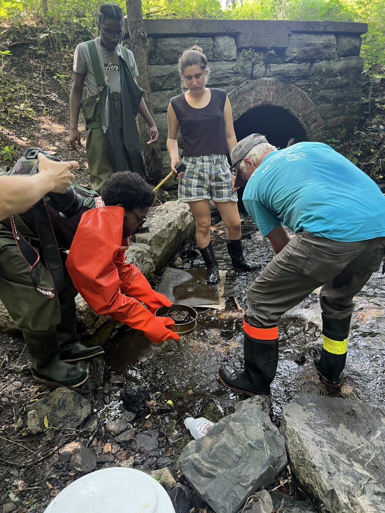 Four people, all wearing wading boots, stand in a low-flowing stream and use tools to gather samples. 
