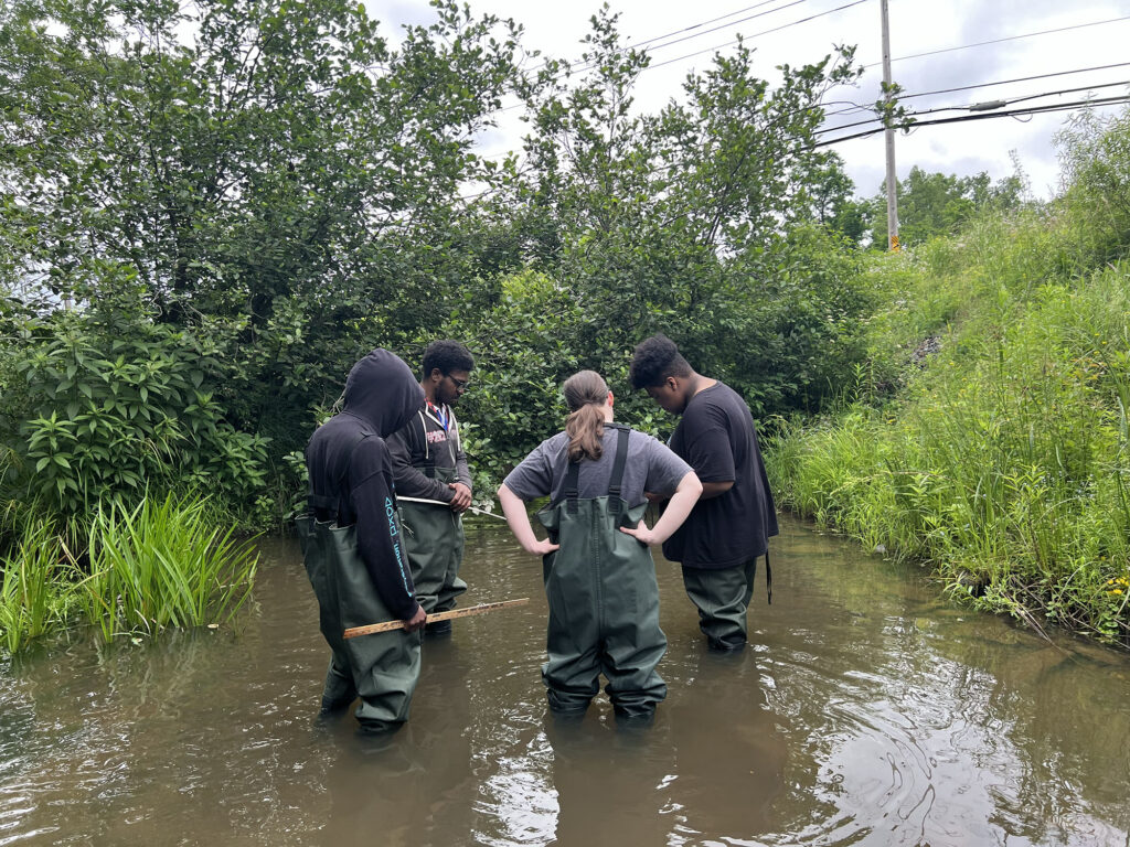 Four Sanctuary youth fellows, wearing waders, stand in a circle in knee-deep murky water. They appear to be looking at an object held by one of the youth fellows, but the object is not visible. 