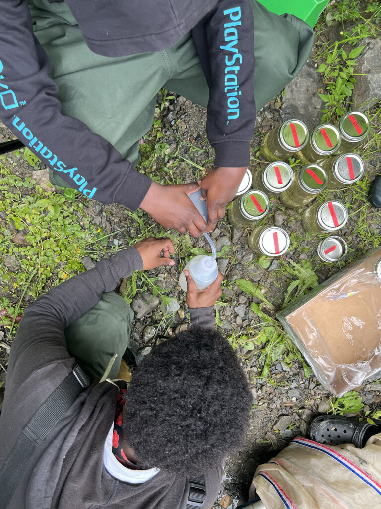 Two Sanctuary youth fellows organize water samples in jars. 