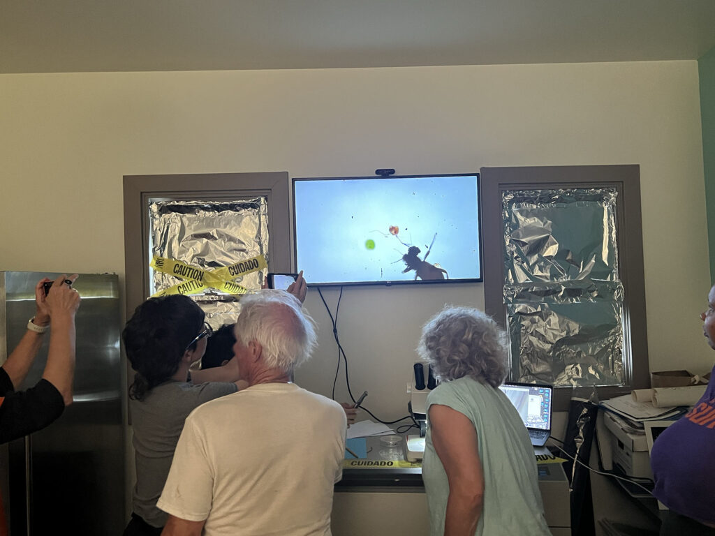 Three people examine objects in the NATURE Lab, including a TV screen and a microscope. 