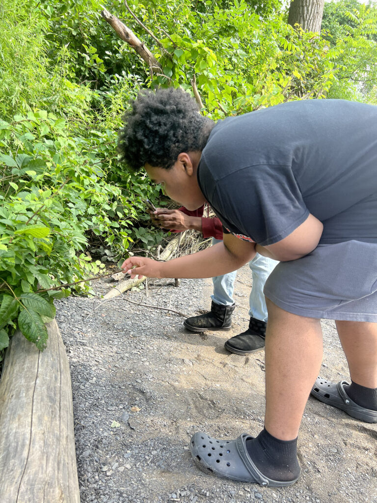 A water justice fellow with black hair and brown skin wearing a black tshirt and gray shorts leans over to inspect something small on a driftwood log on the shore.