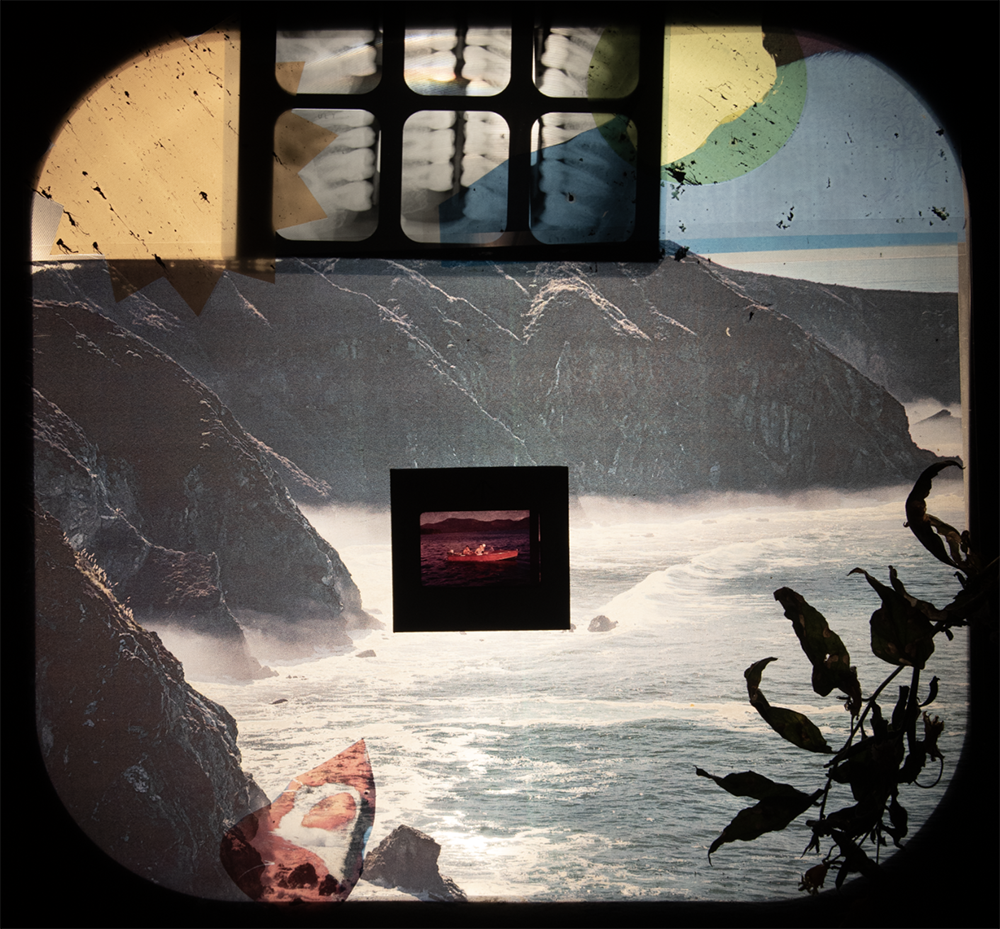 an image from a projector with an assembly of different items: transparent image of ocean and cliffs, teeth x-ray, mounted slide film, plant shadow.