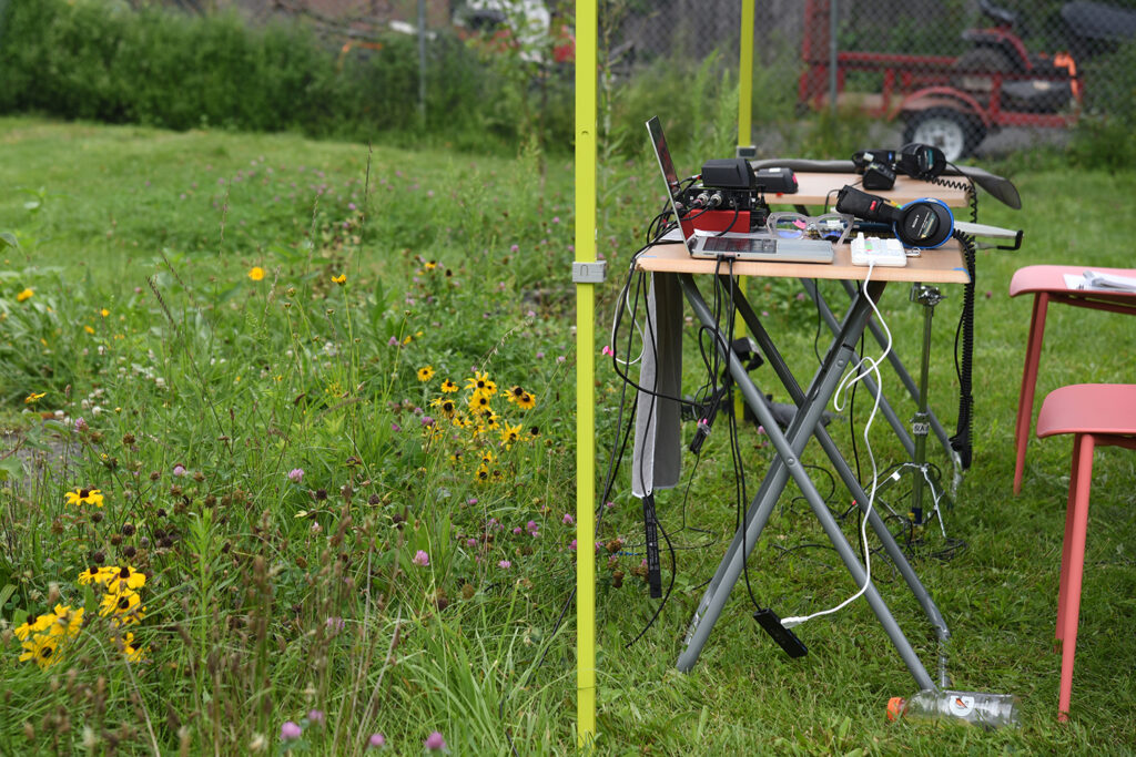 A folding table with sound recording equipment and a laptop with headphones are under a pop-up tent in a field of grasses and wildflowers.  