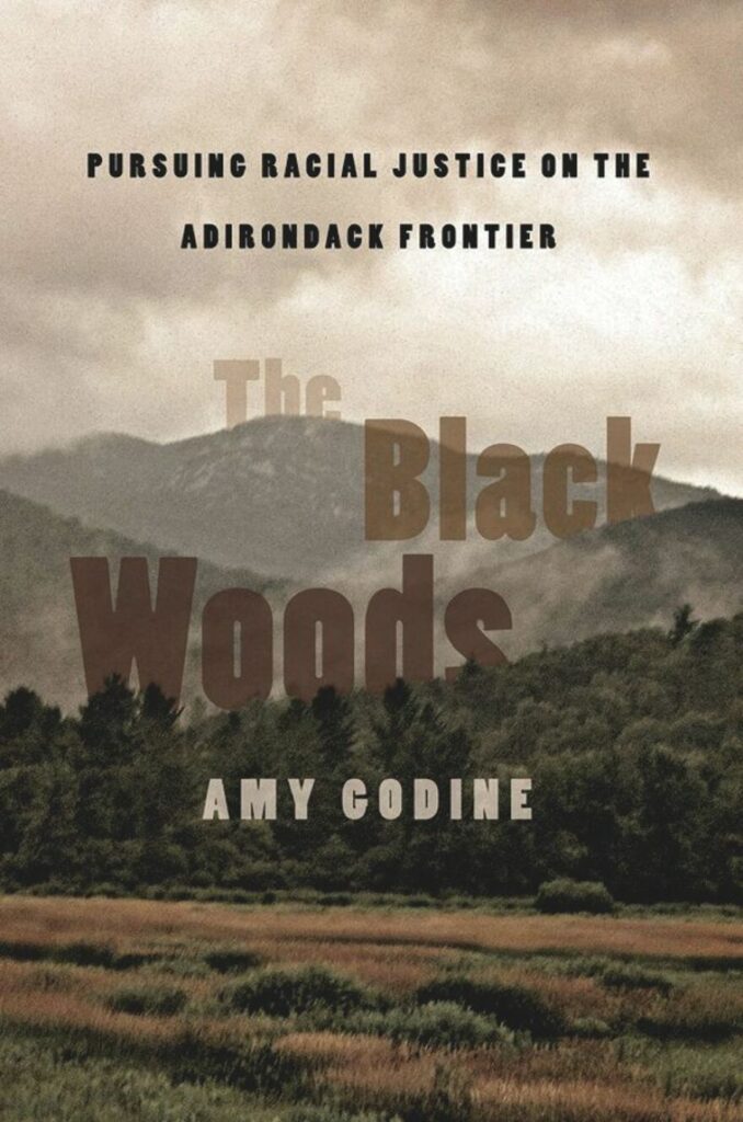 The book cover "The Black Woods" showing the Adirondacks under a hazy brown sky