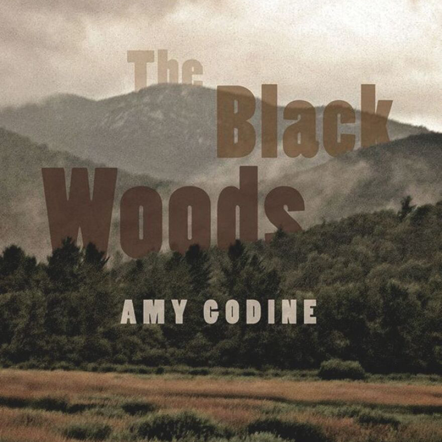 The book cover for "The Black Woods", which shows a rolling landscape of the Adirondack Mountains, hugged by fog, under a hazy sky.