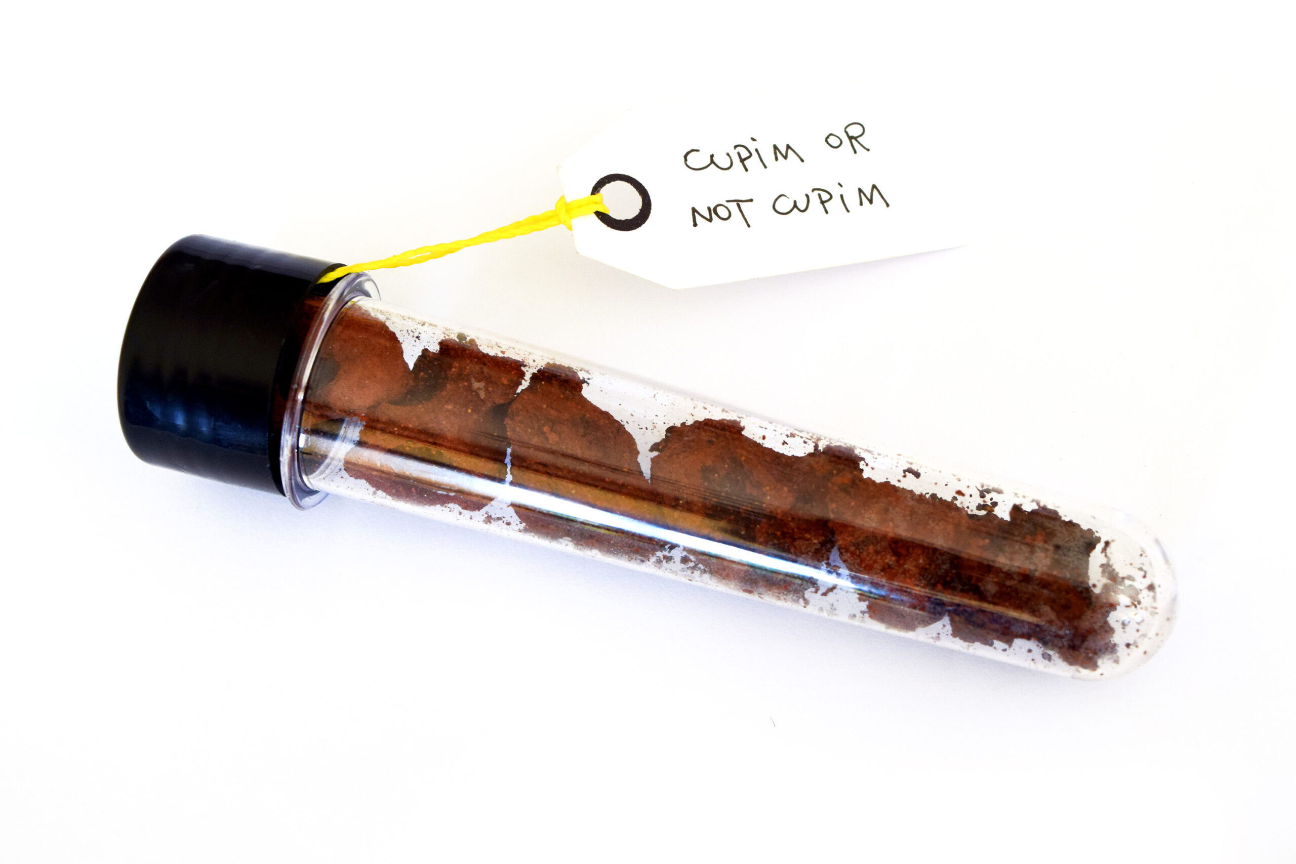 a glass test tube on white background with red-brown chunks of rock/dirt inside, and a white paper label that says "cupim or not cupim"