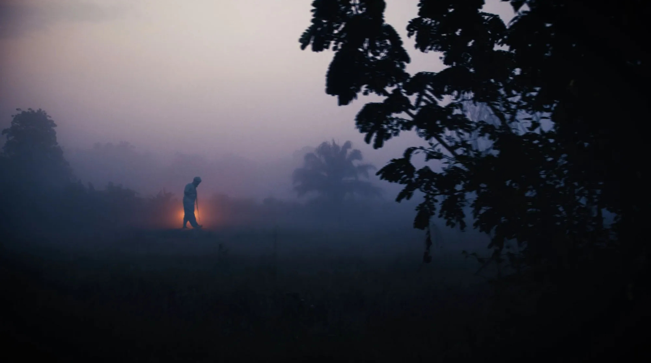 a still from suneil sanzgiri's film. a dewy, dark horizon with dark leaves and a dim orange light